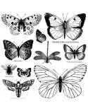 Butterflies - Sellos Decor - Iron Orchid Designs - pinturachalkpaint