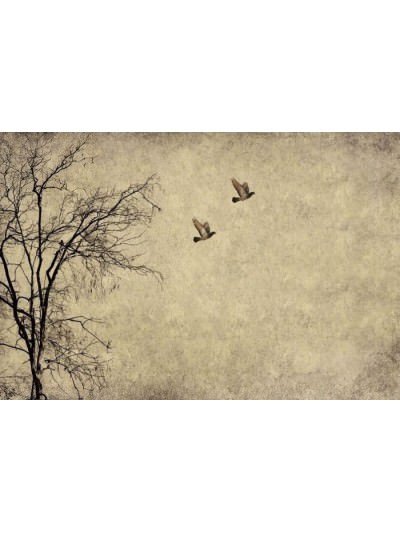 Flying Birds - Mint By Michelle decoupage - Mint By Michelle - pinturachalkpaint