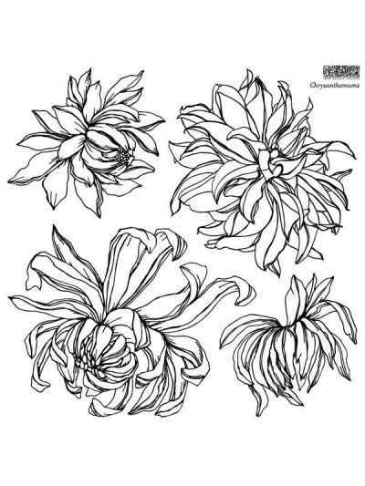 Chrysanthemum - Sellos Decor - Iron Orchid Designs - pinturachalkpaint