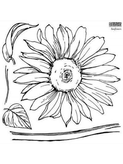 Sunflowers - Sellos Decor - Iron Orchid Designs - pinturachalkpaint