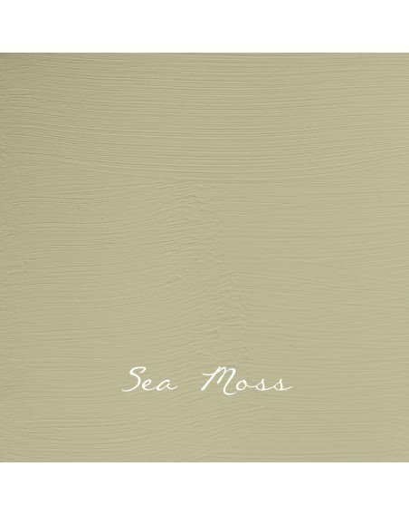 Sea Moss BP - Vintage Chalk Paint - Autentico Luxury Paints - pinturachalkpaint