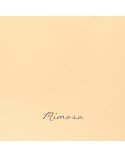 Mimosa Satinado BP - Eggshell satinada - Autentico Luxury Paints - pinturachalkpaint