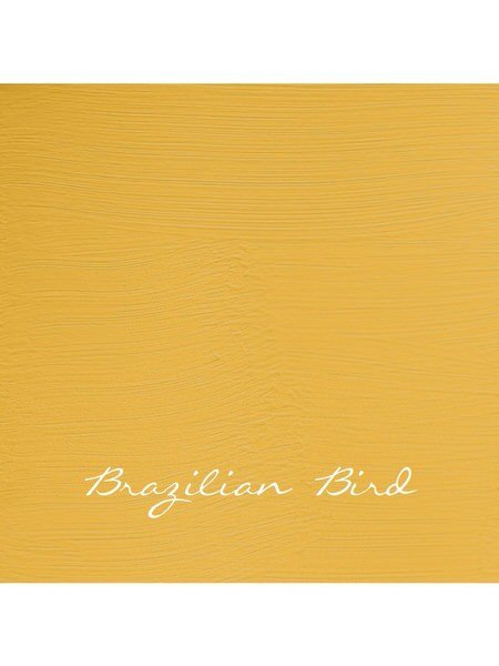 Amarillo Tostado Satinado - Eggshell satinada - Autentico Luxury Paints - ArteSano